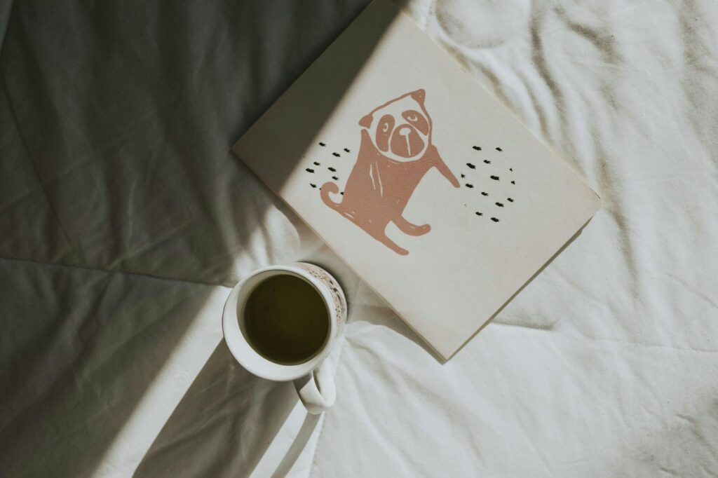 Hidup Nyantai: Apa Itu Slow Living & Tipsnya? photo by letícia alvares on pexels | apa itu slow living dan bagaimana cara menerapkannya di era modern? illustration